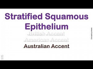 Stratified Squamous Epithelium How to Pronounce Stratified Squamous Epithelium in American Accent?