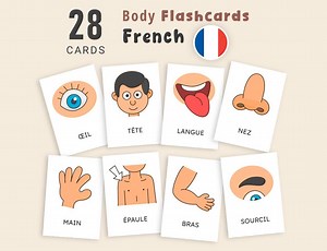 French Body Parts Flashcards, Montessori French Vocabulary Cards, Printable Preschool Learning Set, Homeschool Resources - Etsy
