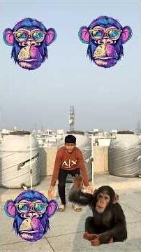 Bandar mama Aaye, pant pajama, Dekho kutta Aaya, fir Billi aaye video #shortsfeed #shorts #funny