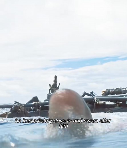 This man was stranded in an island 🏝️ #fbreelsfypシ゚viralfbreelsfypシ゚viral #fypchallenge #fypシ゚viralシ #reelschallenge #movieclips #fbreelsvideoviral | Clip Carousel