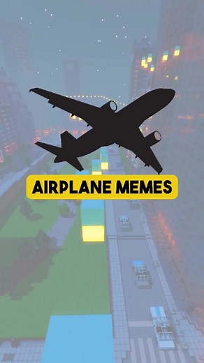 Airplane memes #meme #memes #reddit_tiktok #funny #funnymemes #funnyvideos #memefactory #airplane #luggage
