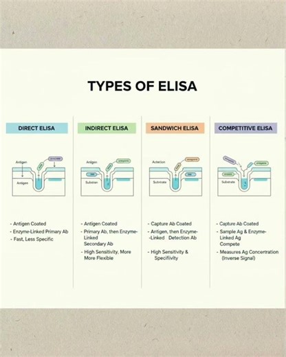 “ELISA Types Explained in One Image