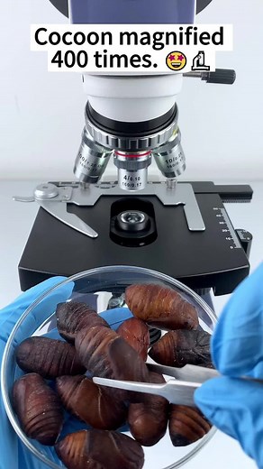 131K views · 1.2K reactions | Did you know what it is looks like when it's magnified 400 times? #undermicroscope #microscope #fyp #reelsviralシ #reelsvideo | Micromagic6 | Facebook