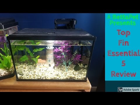 Top Fin Essential 5 gallon tank kit review