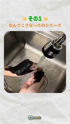 なんでこうなったのシリーズ #ショート動画 #おもしろ動画 #カオス