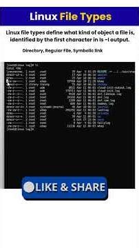 What are the Different File Types in Linux? #LinuxTips #shorts