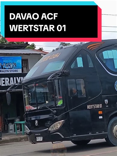 Luxury Class A Black Mamba: Davao ACF Wertstar Model