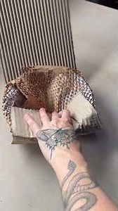 Armamos una tremenda compra #ceramic #ceramica #arte