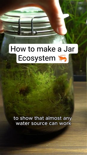 How to Build a Jar Ecosystem