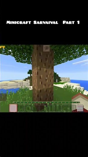 Minicraft Sarvaival ( Part 1 ) 😃