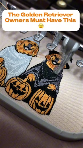 Golden hugs, Golden love, Golden shirt 🐾🦮 #goldenretriever #dog #halloween #doglover #dogs