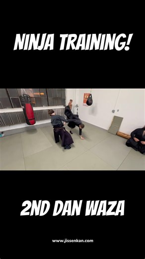 “Ninja Training” 2nd Degree Black Belt Exercise