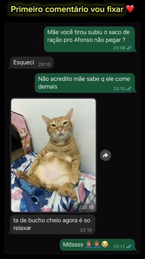 Ela esqueceu o saco de ração no chão e o gato comeu tudo