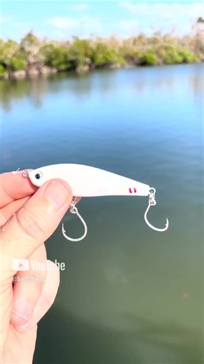 🤔 What’s ONE thing that predators like redfish, trout, snook & flounder literally can’t resist ATTACKING? ...an injured bait fish. Even if they’re not feeding or feeling lethargic - a predator will STRIKE a baitfish that’s obviously struggling. They can’t help it. It’s in their DNA. And that’s exactly what makes our NEW Flea Flicker suspending twitch lure so irresistible - the “gasping for air” look it has underwater! That’s right - this unique lure actually sits with its nose towards the surfa