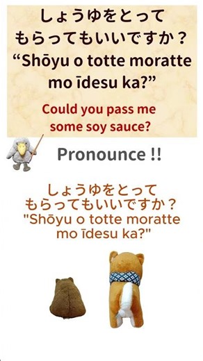 Japanese language learning |Could you pass me some soy sauce? | Conversation during meals|#257_short