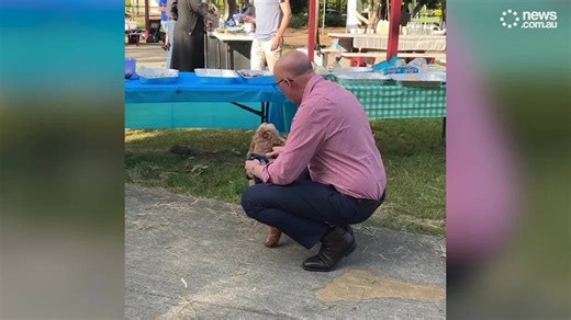 Dutton’s dog makes campaign cameo