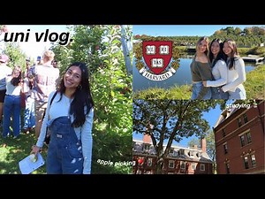 harvard weekend in my life || fall festivities, apple picking, studying, fun :)
