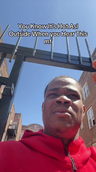 Cicadas Sound: How to Know It's Hot Outside