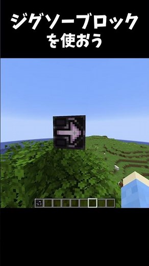 How to use the "Jigsaw Blocks" that you can't use from tomorrow!!! [Minecraft]