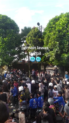 Exploring the Talents of Veteran Players