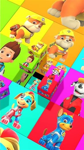 Paw Patrol Rocky ♻️🧠 #pawpatrol #rocky #3d #animation