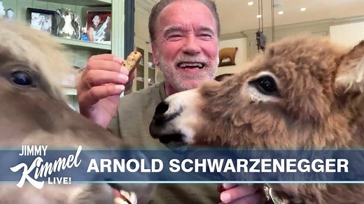 2.1M views · 886 reactions | Arnold introduces us to his miniature...