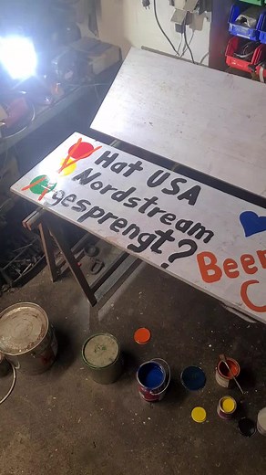 Weg mit der verlogen Regierung #8.01.2024 #stringemil #string #emil @string-emil