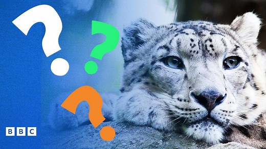 Endangered Animals Quiz