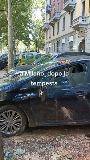 Milan After the Windstorm: Damage and Recovery