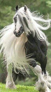 Beautiful Gifs. on Reels