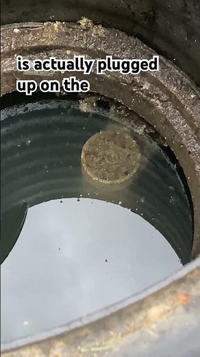 Don’t Ignore This Crucial Part of Effluent Filter Maintenance!