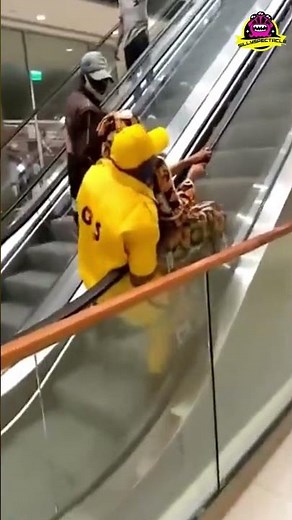 Escalator Fails: The Ultimate Compilation of Side-Splitting Moments