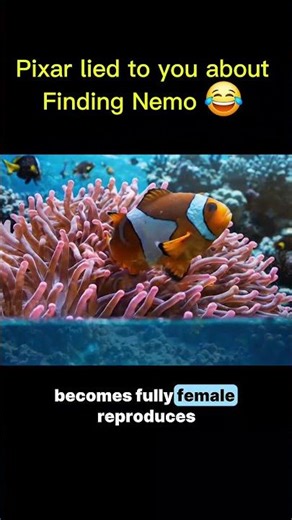 Pixar lied to you about Finding Nemo 😂 #shorts #findingnemo #pixar #nature #facts