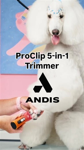Introducing the NEW Andis ProClip 5-in-1 Trimmer Li - Sunset—a precision-engineered masterpiece designed to empower your inner artist. 🎨 This isn't just another trimmer; it's the freedom to create your way on every breed, giving you total control from paws to precision detailing. Why the Sunset 5-in-1 is your new favourite tool: 🌟 Masterful Versatility: The built-in 5-in-1 blade adjusts effortlessly between lengths (#40, #30, #15, #10, and #9). Switch from surgical precision to flawless finish