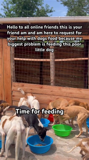 Hello to all online friends this is your friend am and am here to request for your help