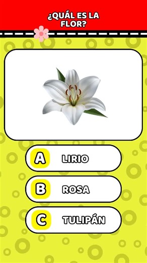 Descubre las flores: un emocionante quiz de botánica