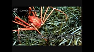 SCP-098 - 外科医蟹