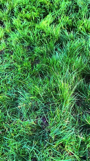 Exploring the Natural Beauty of Algeria