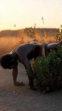 Save Wildlife | A Silent Prehistoric Journey to the YouTube Silver Play Button | Cinematic Short