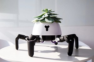 This sun-chasing robot looks after the plant on its head