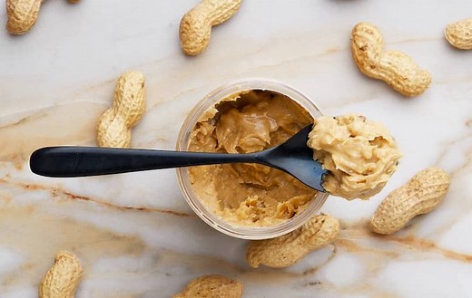 Squirrel Bait 101: The Best Squirrel Bait and How to Use It – Pest Hacks