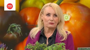 Suomen vuoden 1985 euroviisuedustaja Sonja Lumme muistelee, miten kilpailu vaikutti hänen uraansa: "Jos ei sijoitukaan kauhean hyvin..."