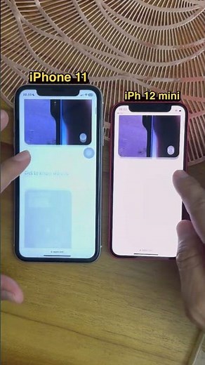 iPhone 11 vs iPhone 12 mini
