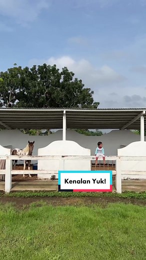 Ayo kita kenalan, biar makin sayang 💙 #ceritakita #NikmatiKenangannya #adayinmylife #keluargacemara #jogjaistimewa #hoteljogja #homestayjogja #airbnbhost #dreamworks #jogja24jam #wisatajogja #jogjaistimewa