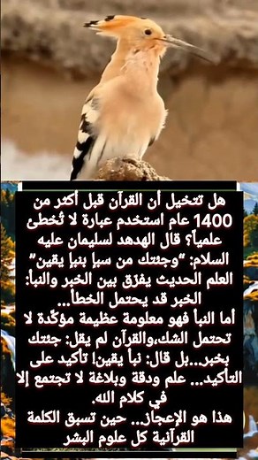 وجئتك من سبأ بنبأ يقين… كشف مذهل من قلب الإعجاز القرآني! 😱