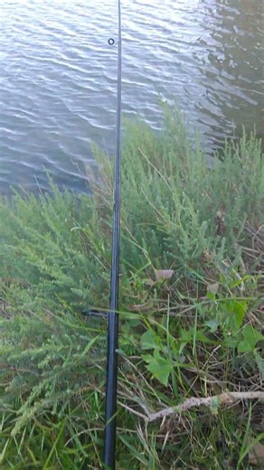 pêche au canal #pêche #fishing #carpfishing #surfcasting #peche #fish