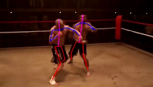 AlphaPose Demo（上海交通大学卢策吾团队）