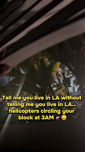 LA Nights: Helicopters & Alarms at 3 AM