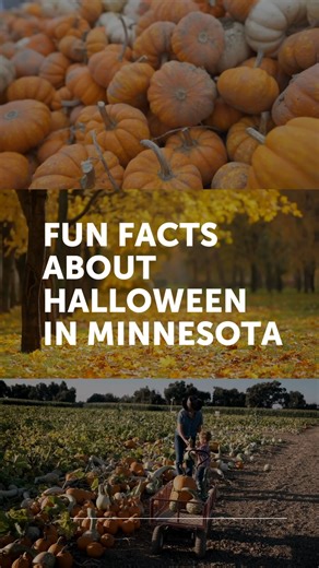 🎃 Did you know that Anoka, Minnesota, is officially the “Halloween Capital of the World”? From record-smashing pumpkins to maze adventures, our state knows how to celebrate spooky season! Check out our top five fun facts about Halloween in Minnesota here: https://tinyurl.com/y28r9rhp | Edina Realty