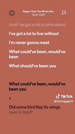 Bigger Than The Whole Sky - Taylor Swift Lyrics